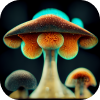Small image